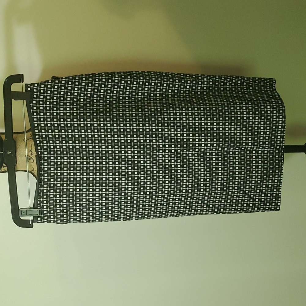 Express Skirt